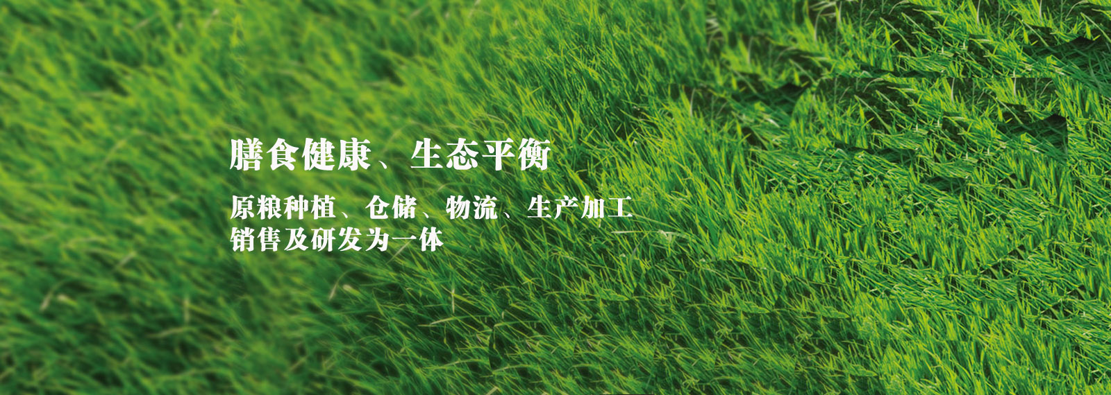 url(http://www_lncyhx_com.m8856.cn/style/banner1.jpg)